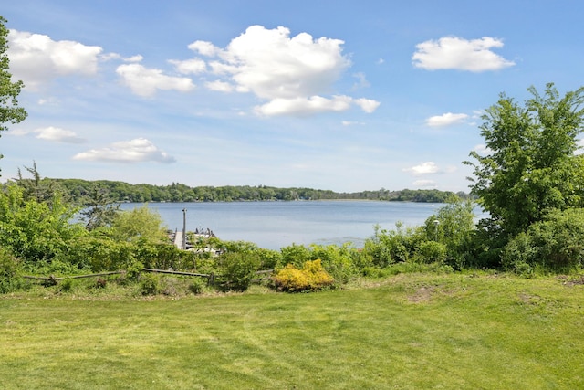 6185 Partridge Ct, Lino Lakes, MN 55110 - water view