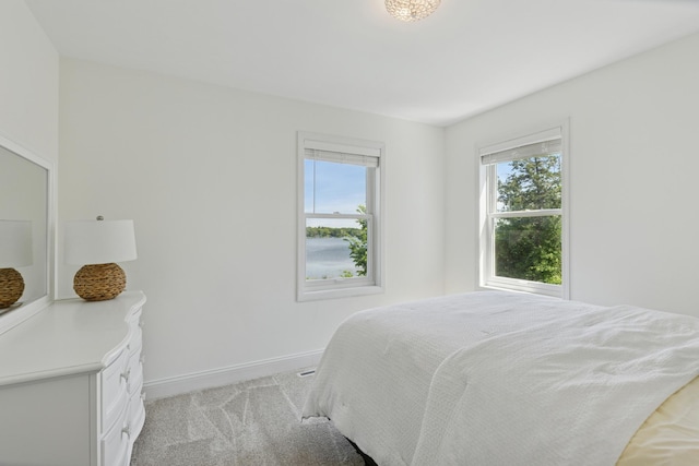 6185 Partridge Ct, Lino Lakes, MN 55110 - bedroom featuring multiple windows, light carpet, and baseboards