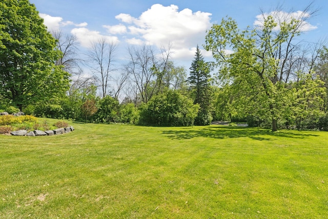 6185 Partridge Ct, Lino Lakes, MN 55110 - view of grassy yard