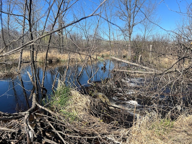 TBD Fairview Rd, Split Rock Twp, MN 55757
