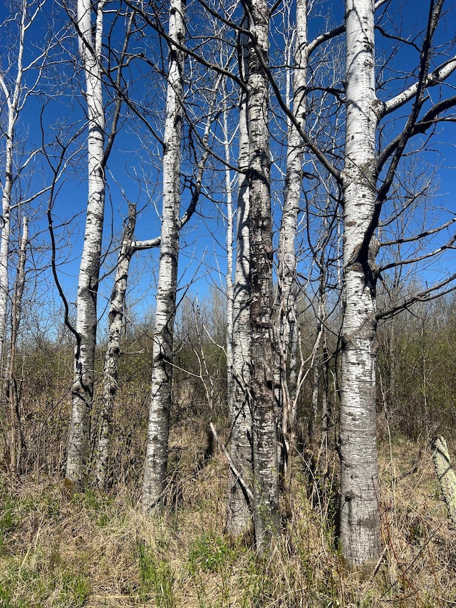 TBD Fairview Rd, Split Rock Twp, MN 55757