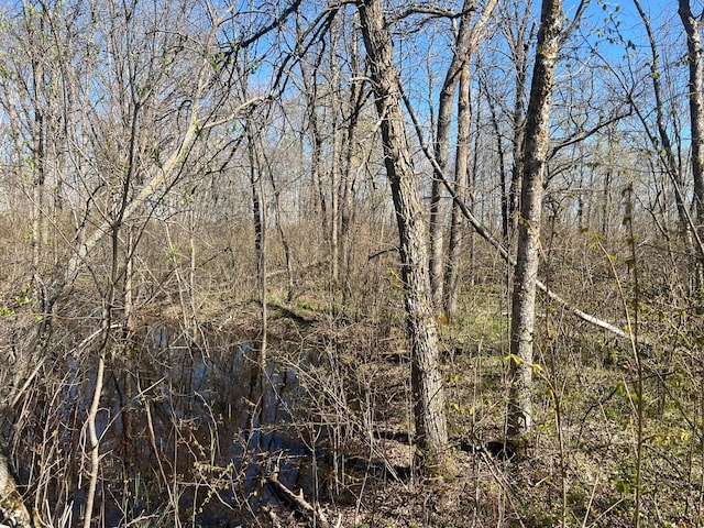 TBD Fairview Rd, Split Rock Twp, MN 55757