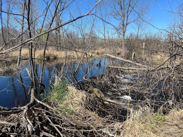 TBD Fairview Rd, Split Rock Twp, MN 55757