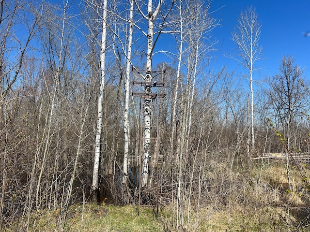 TBD Fairview Rd, Split Rock Twp, MN 55757