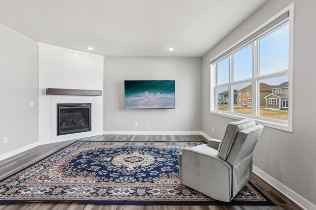 18378 Grasshopper Dr, Lakeville, MN 55044 - living area with baseboards, wood finished floors, a large fireplace, recessed lighting, and a textured ceiling