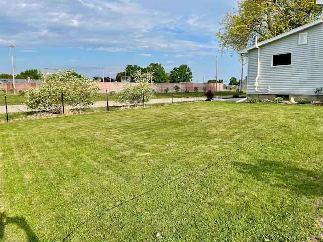 729 10th St E, Wabasha, MN 55981 - view of yard
