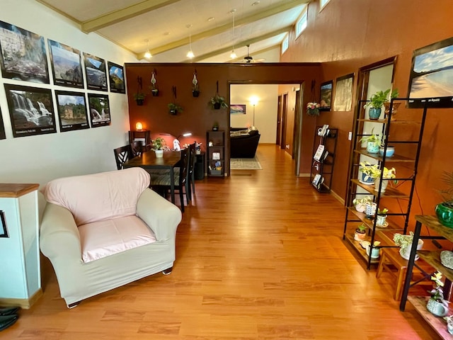 729 10th St E, Wabasha, MN 55981 - living room with wood finished floors and ceiling fan