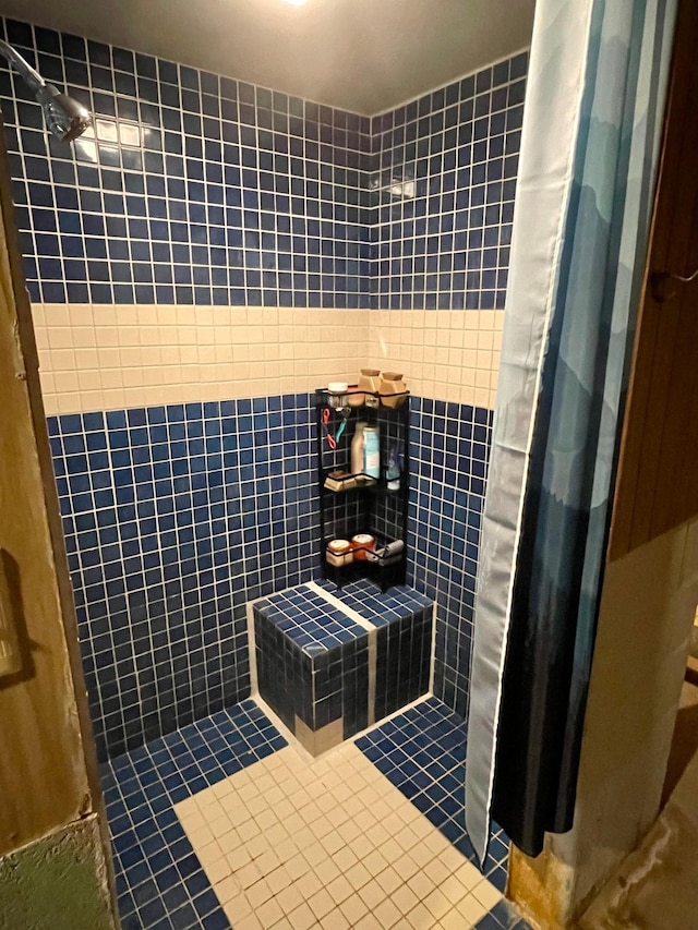 729 10th St E, Wabasha, MN 55981 - bathroom featuring tiled shower, tile patterned flooring, and tile walls