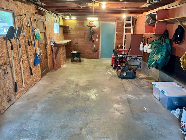 729 10th St E, Wabasha, MN 55981 - basement featuring wooden walls