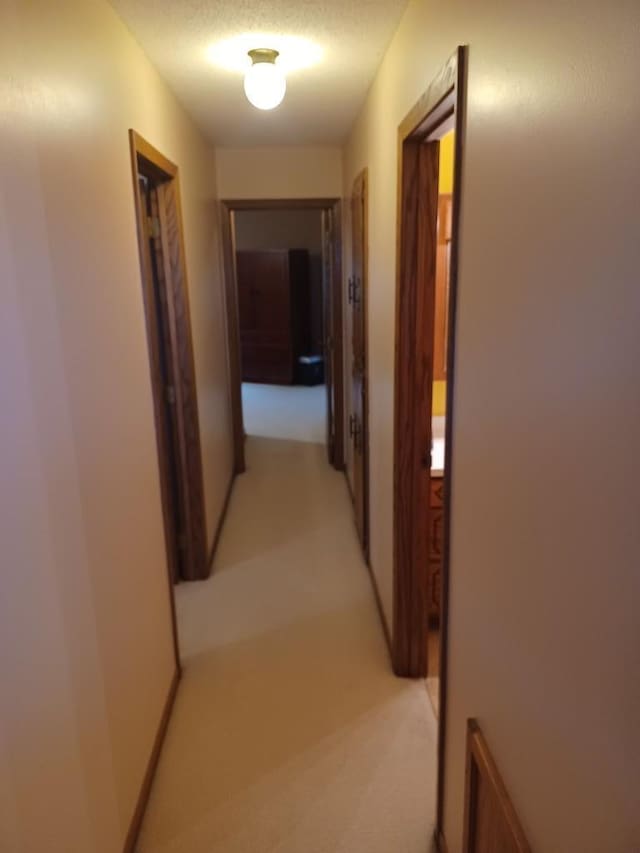149 Riverview Dr Unit 5, Monticello, MN 55362 - hall with light carpet and a textured ceiling