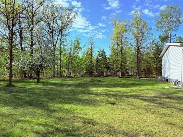 view of green lawn