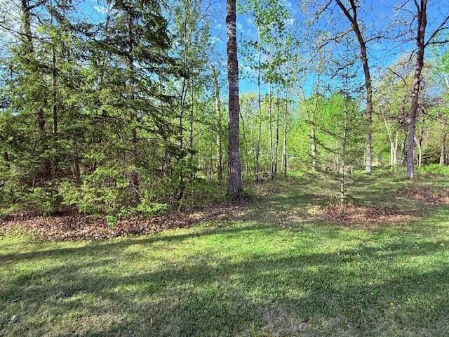 view of grassy yard featuring a wooded view