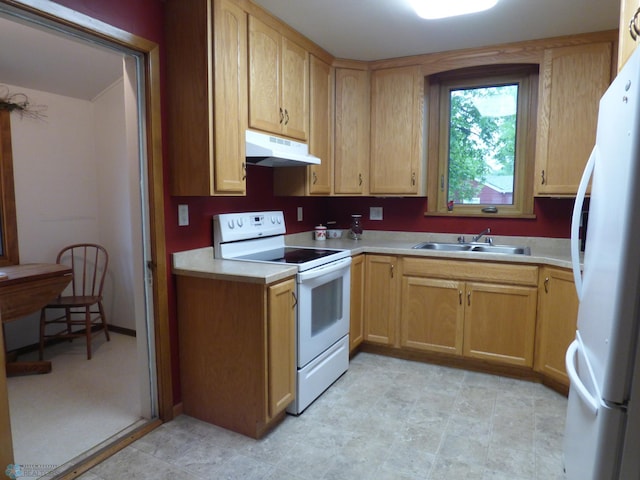 423 9th St N, Wahpeton, ND 58075 - kitchen featuring white appliances, under cabinet range hood, light countertops, and a sink