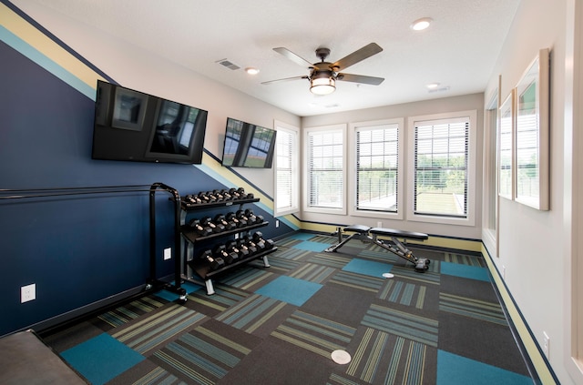 11405 Fieldstone Dr, Rogers, MN 55311 - workout area with plenty of natural light, baseboards, a ceiling fan, carpet, and recessed lighting