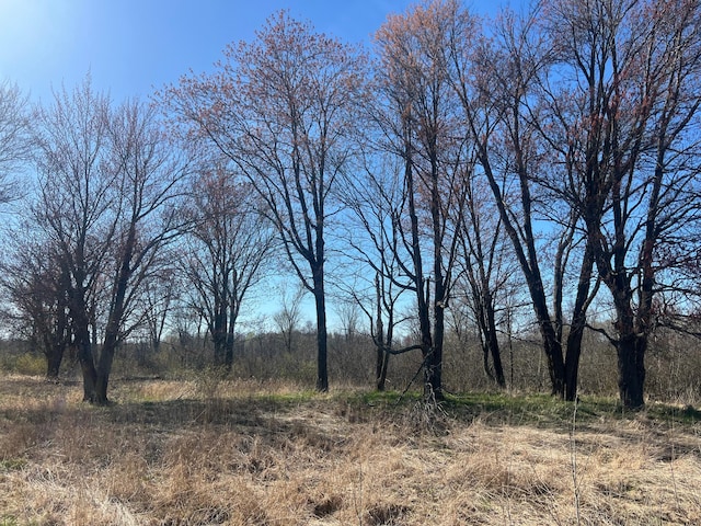 TBD County Road 19, Split Rock Twp, MN 55757