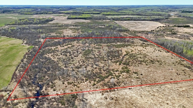 TBD County Road 19, Split Rock Twp, MN 55757