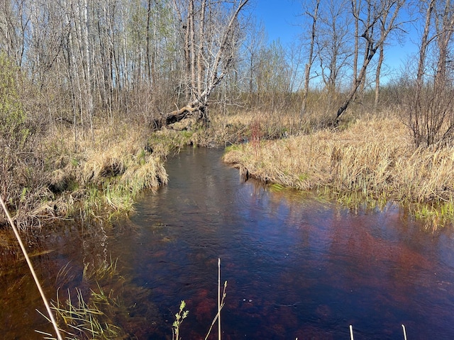 TBD County Road 19, Split Rock Twp, MN 55757