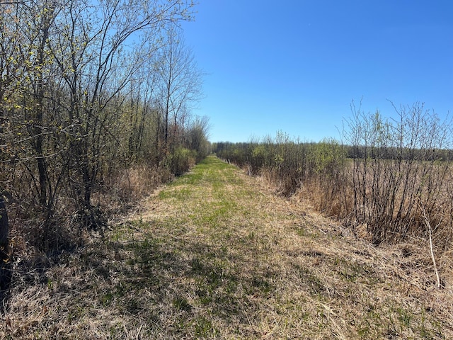 TBD County Road 19, Split Rock Twp, MN 55757