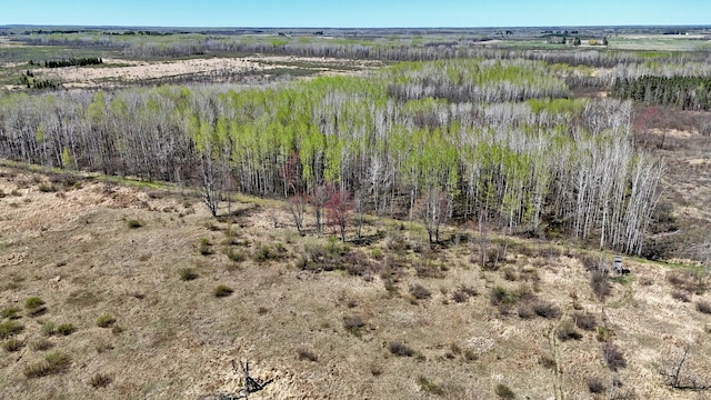 TBD County Road 19, Split Rock Twp, MN 55757
