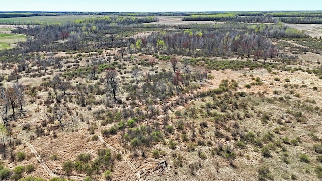 TBD County Road 19, Split Rock Twp, MN 55757
