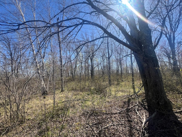 TBD County Road 19, Split Rock Twp, MN 55757