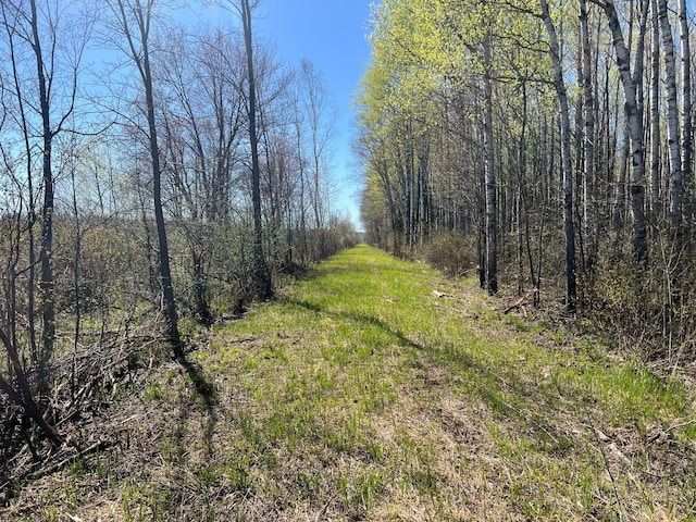 TBD County Road 19, Split Rock Twp, MN 55757