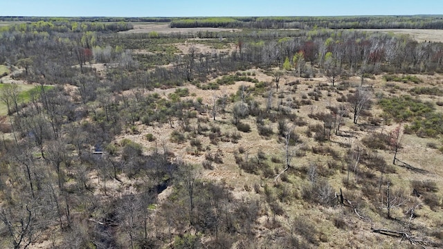 TBD County Road 19, Split Rock Twp, MN 55757