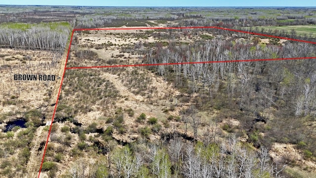 TBD County Road 19, Split Rock Twp, MN 55757