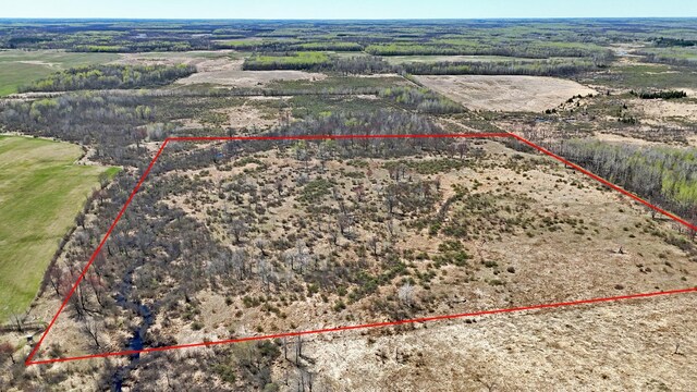 TBD County Road 19, Split Rock Twp, MN 55757