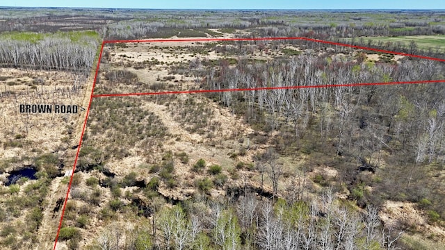 TBD County Road 19, Split Rock Twp, MN 55757