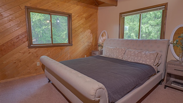 50631 Newburg Ln, Marcell, MN 56657 - photo 11