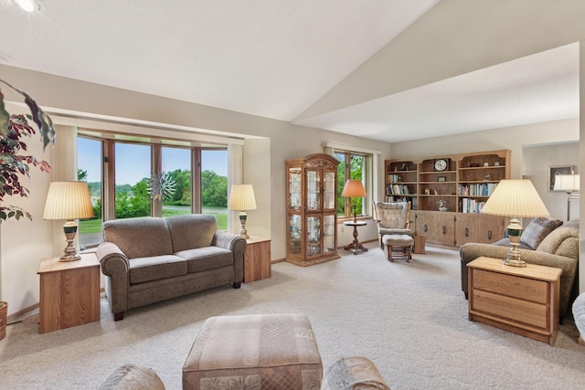 124 166th Ave NE, Andover, MN 55304 - living room featuring light carpet and lofted ceiling