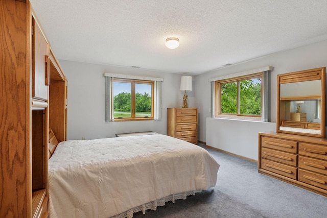 124 166th Ave NE, Andover, MN 55304 - carpeted bedroom featuring a textured ceiling