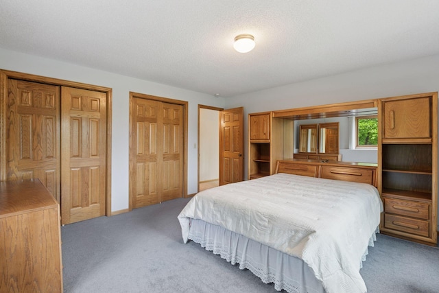 124 166th Ave NE, Andover, MN 55304 - bedroom featuring two closets and carpet flooring