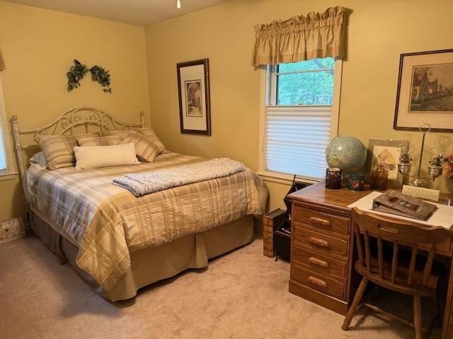 106 Morningside Rd, Albert Lea, MN 56007 - bedroom featuring multiple windows and light colored carpet