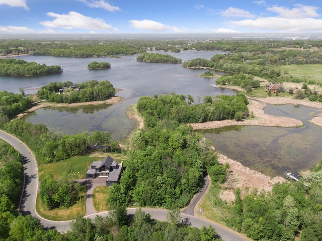 981 Peninsula Point Rd, Shakopee, MN 55379