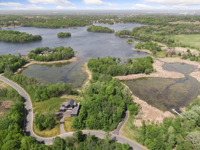 981 Peninsula Point Rd, Shakopee, MN 55379