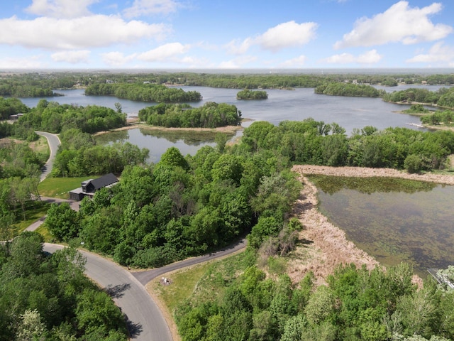 981 Peninsula Point Rd, Shakopee, MN 55379