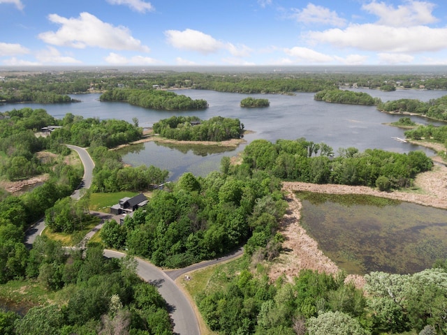 981 Peninsula Point Rd, Shakopee, MN 55379