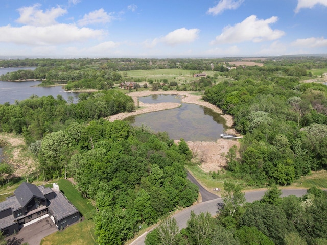 981 Peninsula Point Rd, Shakopee, MN 55379