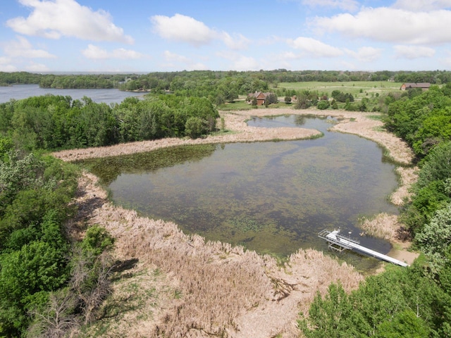 981 Peninsula Point Rd, Shakopee, MN 55379
