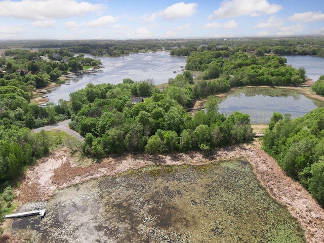 981 Peninsula Point Rd, Shakopee, MN 55379