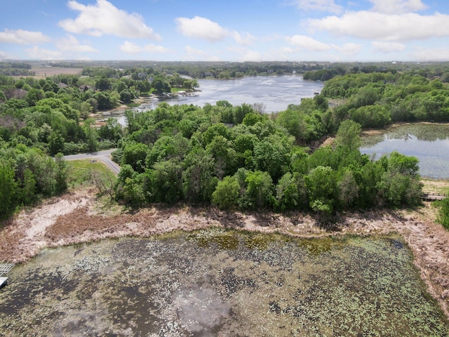 981 Peninsula Point Rd, Shakopee, MN 55379