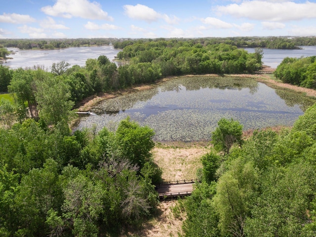 981 Peninsula Point Rd, Shakopee, MN 55379