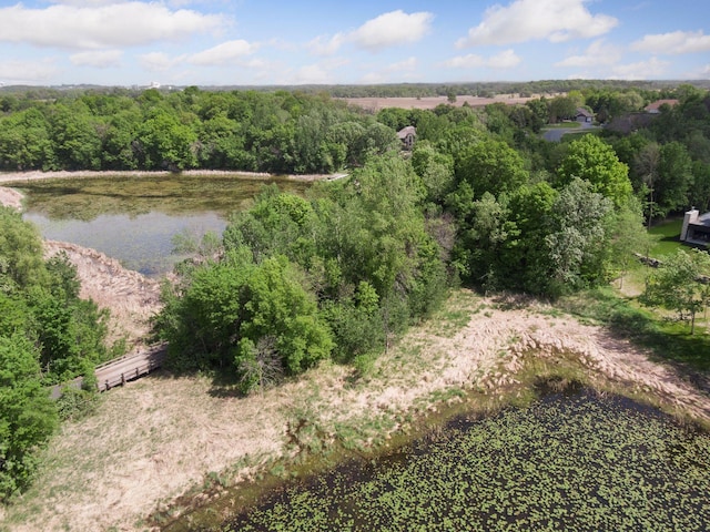 981 Peninsula Point Rd, Shakopee, MN 55379