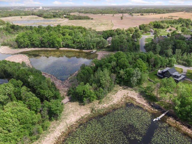 981 Peninsula Point Rd, Shakopee, MN 55379