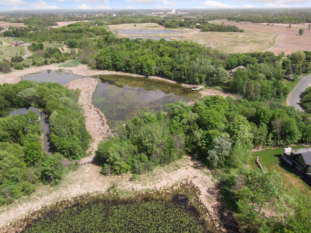 981 Peninsula Point Rd, Shakopee, MN 55379