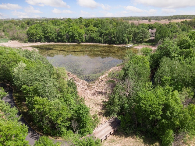 981 Peninsula Point Rd, Shakopee, MN 55379