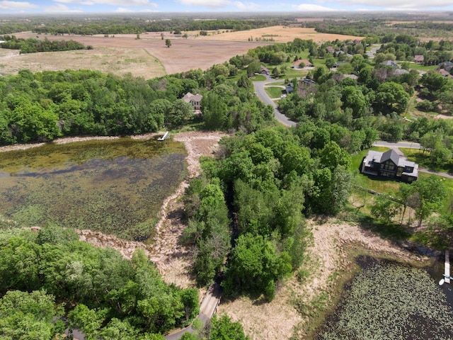 981 Peninsula Point Rd, Shakopee, MN 55379