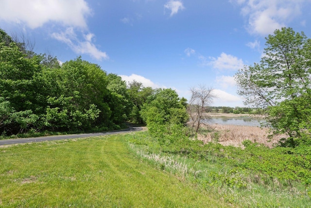 981 Peninsula Point Rd, Shakopee, MN 55379